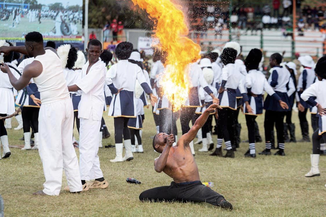 zitf activitiy